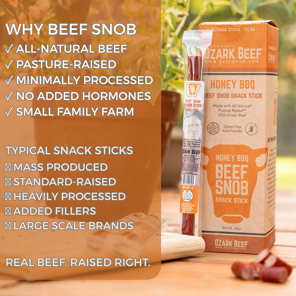 Beef Snob Snack Sticks — Honey BBQ (Box of 20)